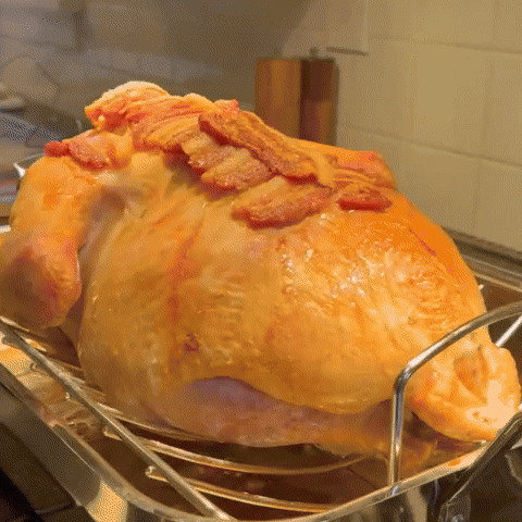 Meal inspiration: roast turkey, roasted meat and lasagna preparation